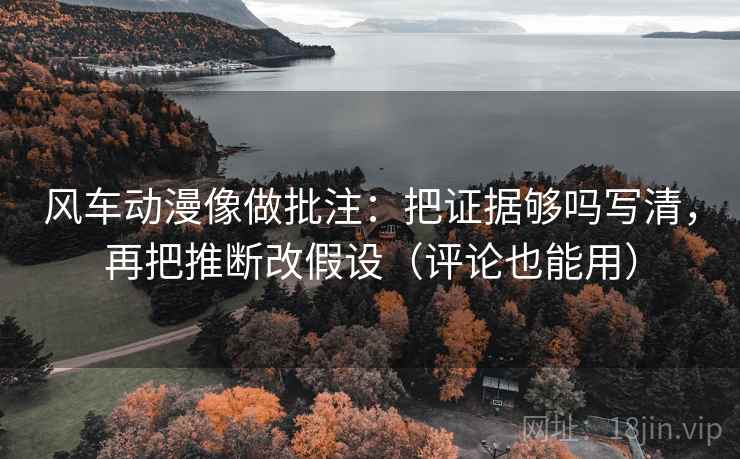 风车动漫像做批注：把证据够吗写清，再把推断改假设（评论也能用）